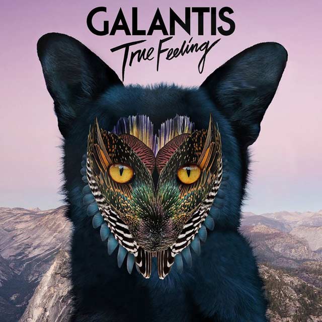 Galantis: True feeling - portada