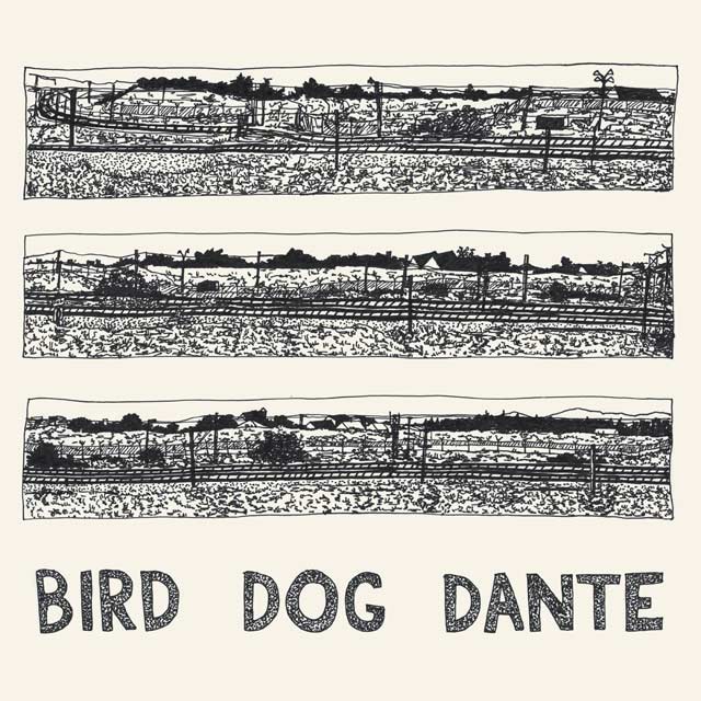 John Parish: Bird dog Dante - portada