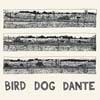 John Parish: Bird dog Dante - portada reducida