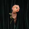 Marian Hill: Unusual - portada reducida