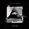 Alice in Chains: Rainier fog - portada reducida