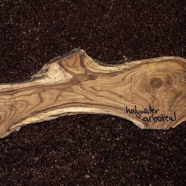Holywater: Arboreal - portada