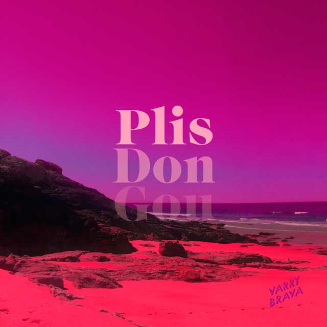 Varry Brava: PlisDonGou - portada