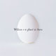 Wilco: A Ghost Is Born - portada reducida