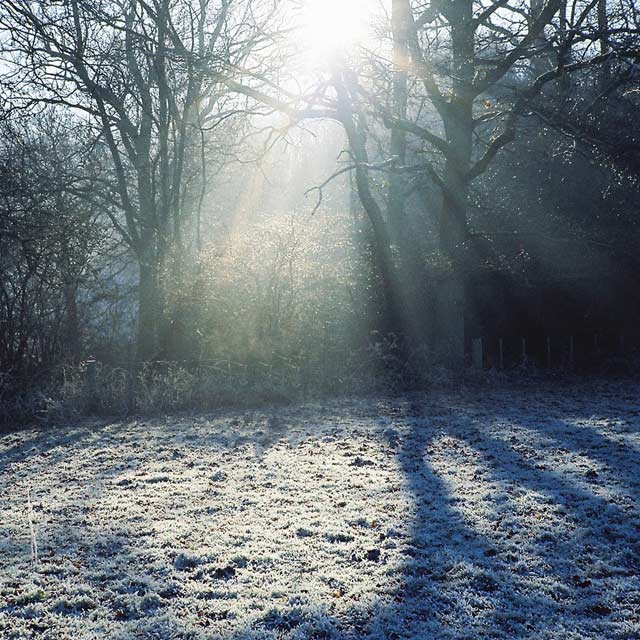 Wolf Alice: Heavenward - portada