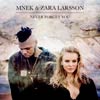 Zara Larsson con MNEK: Never forget you - portada reducida