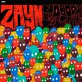 Zayn: Nobody is listening - portada reducida