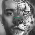 Zayn: Konnakol - portada reducida