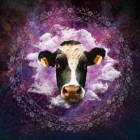 Doctor Music Festival