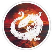 Monegros Desert Festival