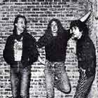 Vivo '83, nuevo lanzamiento de Leño