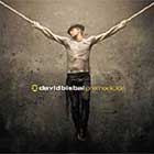 Las canciones de Premonicion de David Bisbal