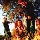 Grupo de Expertos Solynieve