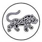 Womad Las Palmas 2006