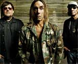 Las nuevas canciones del Iggy Pop & The Stooges