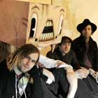 The used, Lies for the liars