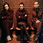 Steve Hewitt deja Placebo