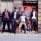 Lo nuevo de The Zutons en junio