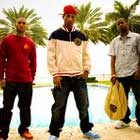 Listo lo nuevo de NERD