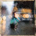 Joan Osborne, Little wild one