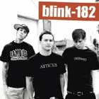 Travis Barker sufre  un accidente aereo