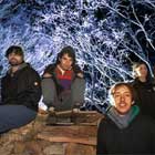 Animal Collective en directo en Sónar