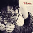 Karenin, La verdad era esto