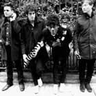 Zenttric, Con Z y Dos T