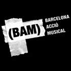 Avance del BAM 2009