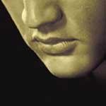 Box-set de Elvis Presley