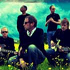Ocean Colour Scene en Madrid y Barcelona