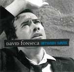 David Fonseca, "Between Waves"