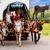 Jordi Skywalker, Corazón de padre atómico