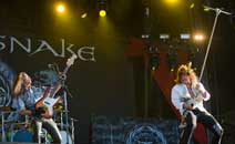 Whitesnake, Forevermore