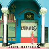 Caminando, una canción de Amaia Montero