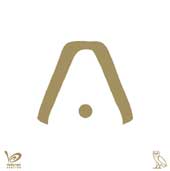 Aaliyah & Drake, Enough Said