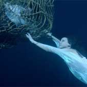 Nuevo álbum de Stereophonics