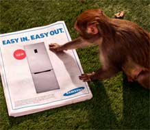 Video patrocinado: Samsung presenta al Mono Ladrón