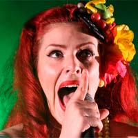 Se completa el cartel del FiV 2014