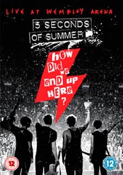 5 seconds of summer, How did we end up here?