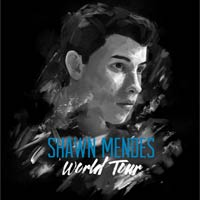 Concierto de Shawn Mendes en Madrid