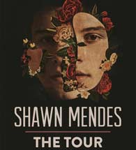 Shawn Mendes The tour