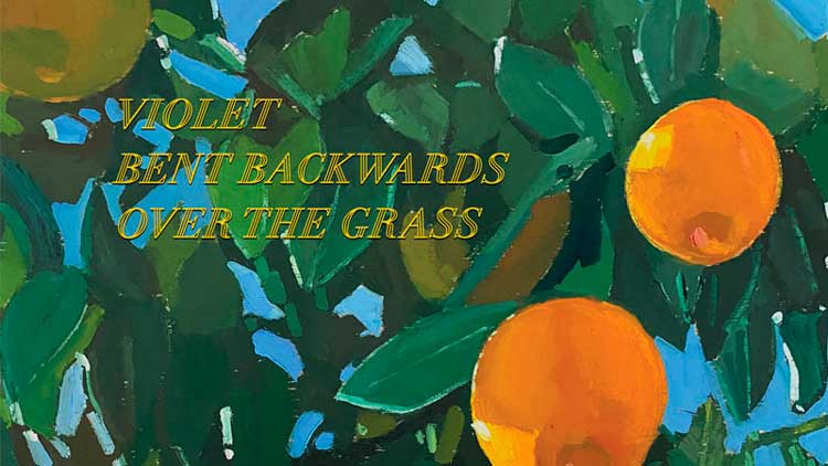 Primer libro de poemas de Lana Del Rey