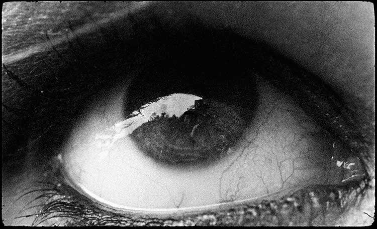 Un ojo como teaser de 'The last man on earth' de Wolf Alice