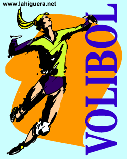 Voleibol