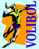 Voleibol
