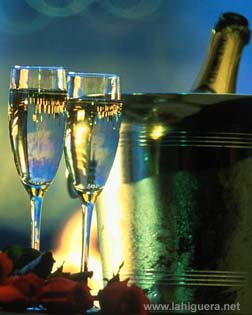 Brindemos por nosotros