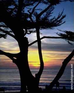 Anochecer paradisiaco