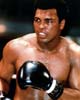 Muhammad Ali, el más grande