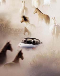 Audi, muchos caballos